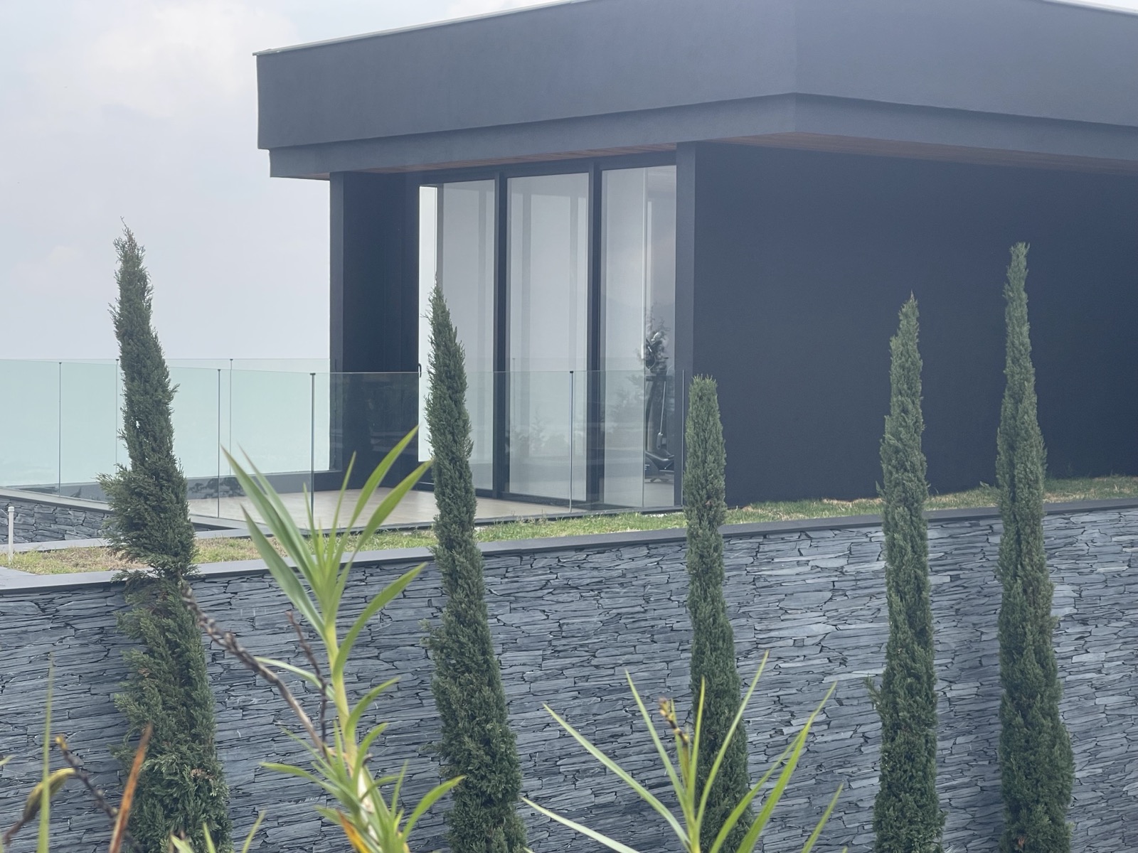 Cedro Verde — imagen 1
