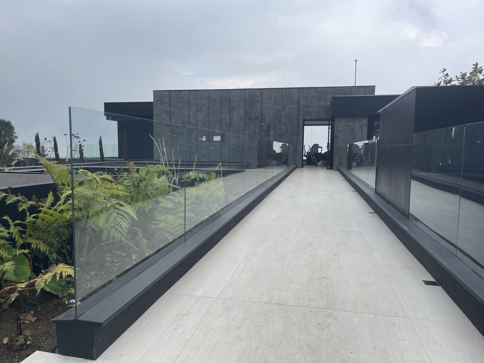 Cedro Verde — imagen 4