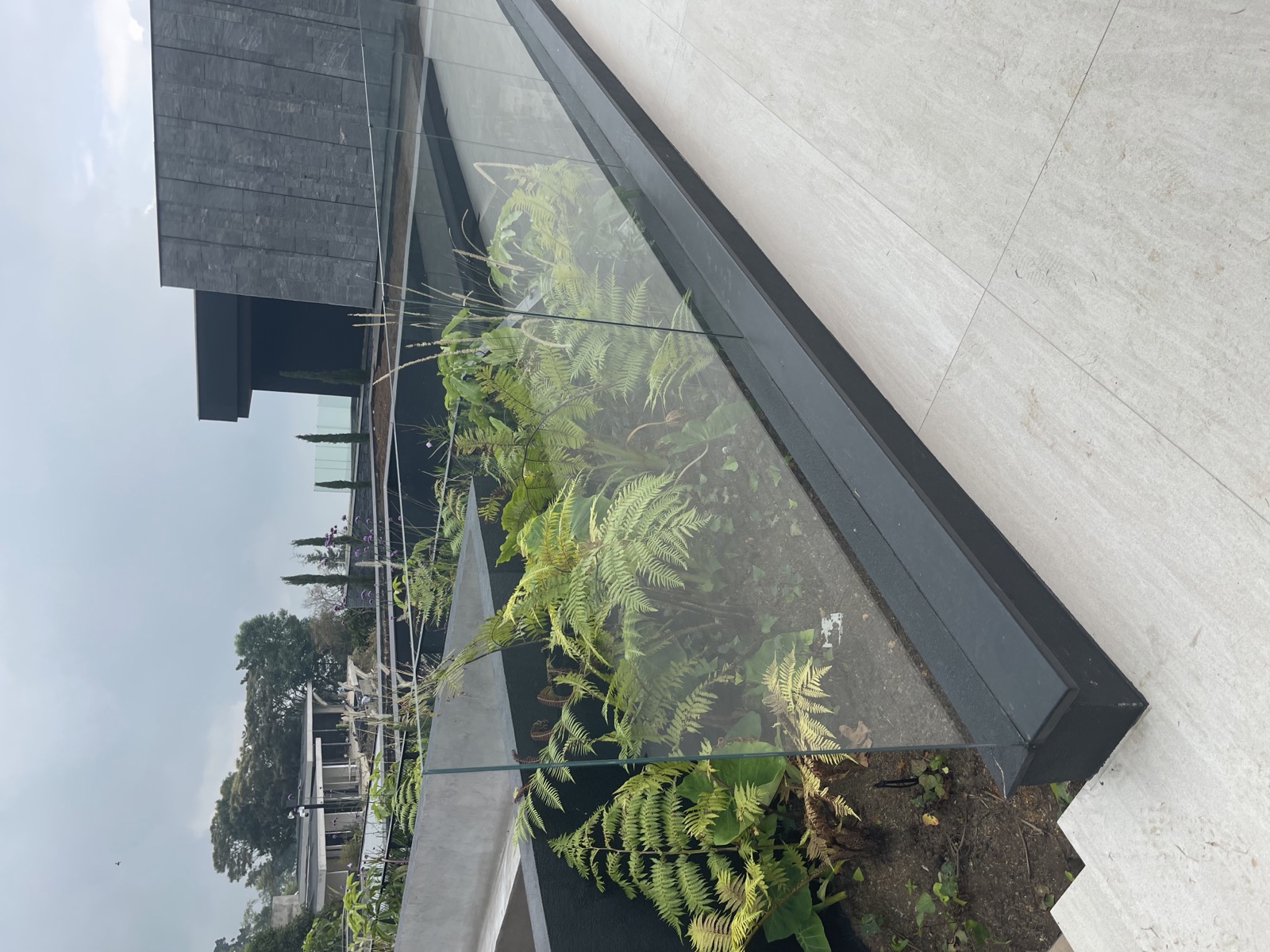 Cedro Verde — imagen 5