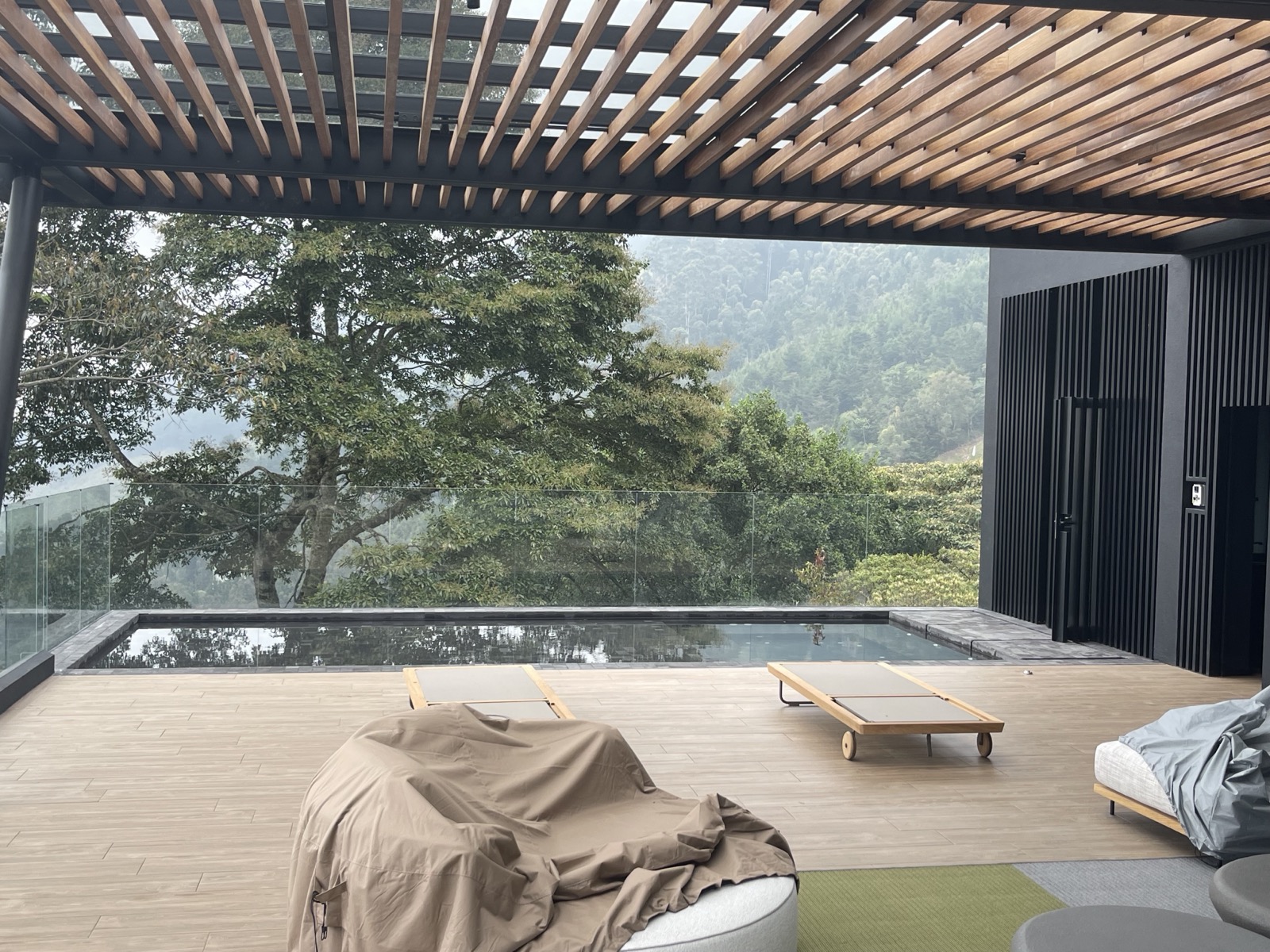 Cedro Verde — imagen 6